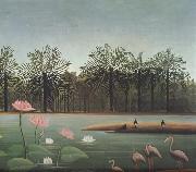 Henri Rousseau The Flamingos oil